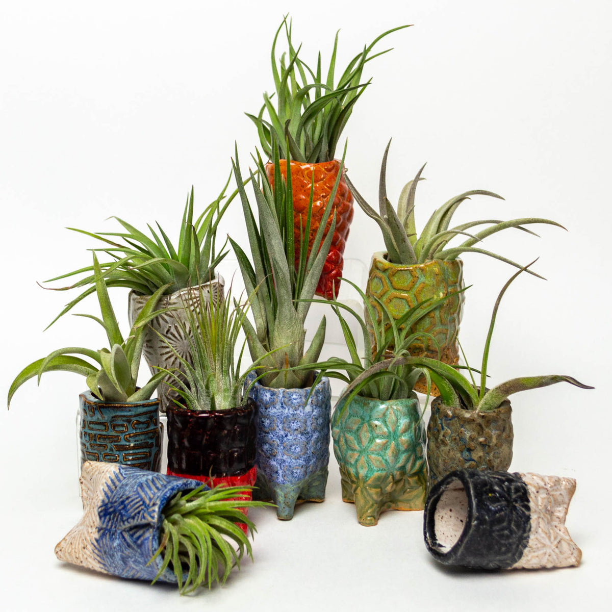 air force 1 plant pot RANDOM Air Plant Pot w/ Air Plant – White Squirrel Clayworks